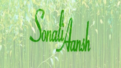 কাগজে সম্পদ, বাস্তবে নেই—সোনালি আঁশে আর্থিক অনিয়মের চিত্র