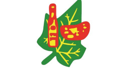 এসএমই থেকে মূল বোর্ডে উঠতে চায় মামুন অ্যাগ্রো