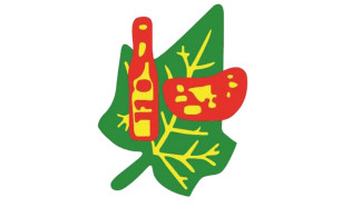 এসএমই থেকে মূল বোর্ডে উঠতে চায় মামুন অ্যাগ্রো