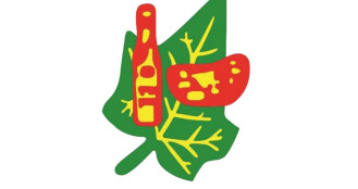 এসএমই থেকে মূল বোর্ডে উঠতে চায় মামুন অ্যাগ্রো