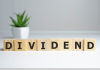 শেয়ারবাজারে আলোচনায় উচ্চ ডিভিডেন্ডের ১৩ কোম্পানি