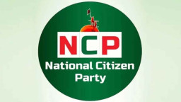 সিটি নির্বাচনে ঝড় তুলতে প্রস্তুত এনসিপি—ঘোষণা ৫ মেয়র প্রার্থী