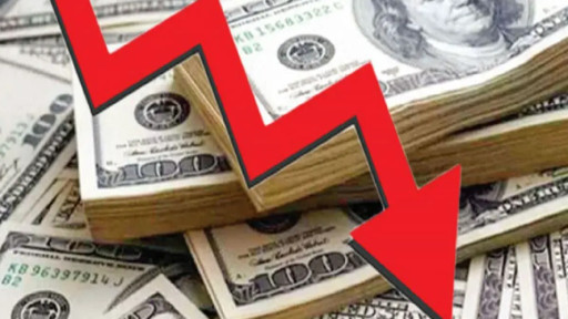 শেয়ারবাজারের ২৫ কোম্পানি থেকে বিনিয়োগ প্রত্যাহার বিদেশিদের
