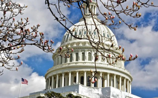 ক্ষমতা হারাতে পারেন ট্রাম্প; সামনে এল সাংবিধানিক পথ
