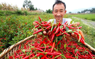 ঝালপ্রেমীদের জন্য বড় ঝুঁকি ফাঁস করলেন বিশেষজ্ঞরা