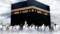 সংকটকালেও বিমানের হজে বিলাসিতা!