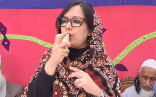 এনসিপিতে যোগ দেওয়া নিয়ে যা বললেন রুমিন ফারহানা