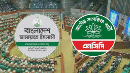 সংরক্ষিত নারী আসন বণ্টনে জামায়াতের সিদ্ধান্ত