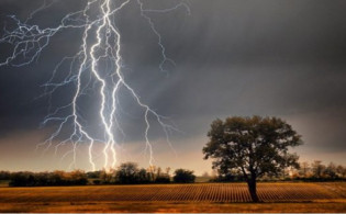 বজ্রপাতে শেষ তিন প্রাণ ও একটি গরু