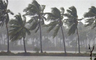 ঝড়ে গাছের নিচে চাপা পড়ে মা ও দুই মেয়ে নিহত