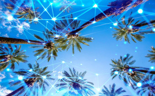 গাছ কেন অস্থায়ী; চমকপ্রদ ব্যাখ্যা ইসলামী আলোচনায়