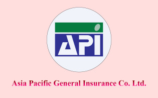 এশিয়া প্যাসিফিক ইন্স্যুরেন্সের ডিভিডেন্ড ঘোষণা