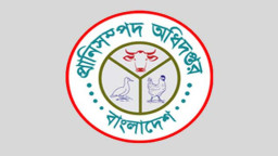 ভারত থেকে গরু আমদানি অনুমোদন; আসল তথ্য জানালো মন্ত্রণালয়