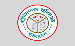 ভারত থেকে গরু আমদানি অনুমোদন; আসল তথ্য জানালো মন্ত্রণালয়