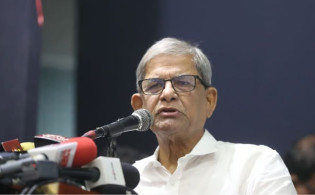 উচ্চকক্ষ নিয়ে নতুন বিতর্ক—যা বললেন মির্জা ফখরুল