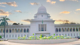 গর্ভের সন্তানের লিঙ্গ প্রকাশে বড় ধাক্কা; নতুন রায় দিল হাইকোর্ট