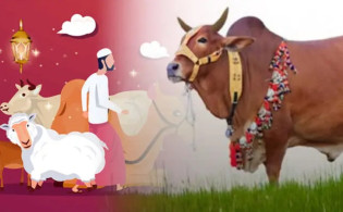 কোরবানি ওয়াজিব হওয়ার ন্যূনতম সম্পদ