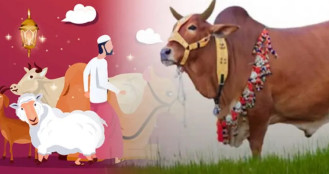কোরবানি ওয়াজিব হওয়ার ন্যূনতম সম্পদ