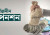 সর্বজনীন পেনশন নিয়ে বড় সিদ্ধান্ত