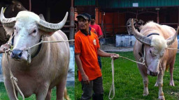 ‘ট্রাম্প’-এর পর এবার ঢাকা আসছে ‘নেতানিয়াহু’