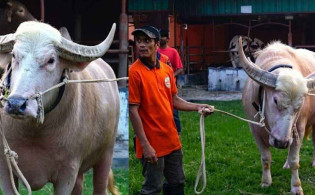 ‘ট্রাম্প’-এর পর এবার ঢাকা আসছে ‘নেতানিয়াহু’