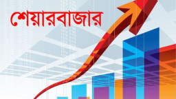 শেয়ারবাজারে সর্বস্ব হারিয়েও যে কারণে মানুষ ফিরে আসে বারবার