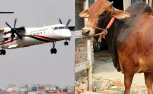 ঢাকায় মাংস কাটতে প্লেনে উড়ে আসছেন কসাইরা