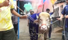 ‘ডোনাল্ড ট্রাম্প’ বিক্রি নিয়ে বিতর্ক, যা বললেন খামার মালিক