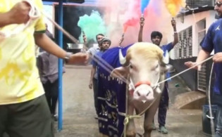 ‘ডোনাল্ড ট্রাম্প’ বিক্রি নিয়ে বিতর্ক, যা বললেন খামার মালিক