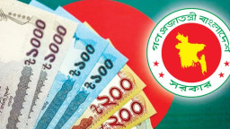 নতুন পে স্কেলে বেশি সুবিধা পাবেন যারা
