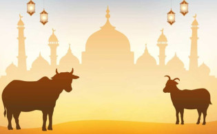 কুরবানি নিয়ে প্রচলিত ভুল ধারণার ব্যাখ্যা