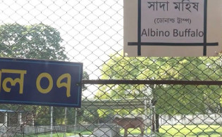 ‘ডোনাল্ড ট্রাম্প’ লিখতে গিয়ে যা করল চিড়িয়াখানা কর্তৃপক্ষ!