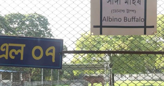 ‘ডোনাল্ড ট্রাম্প’ লিখতে গিয়ে যা করল চিড়িয়াখানা কর্তৃপক্ষ!