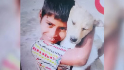 বাগেরহাটে কুমিরে টেনে নেওয়া শিশু ফাতেমার মরদেহ উদ্ধার