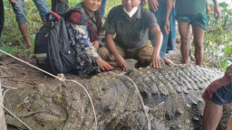 অবশেষে সরছে মাজার দিঘির ‘রহস্যময়’ কুমির