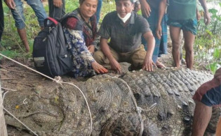 অবশেষে সরছে মাজার দিঘির ‘রহস্যময়’ কুমির