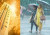 জুন মাসে তাপমাত্রা-বৃষ্টিপাত নিয়ে আবহাওয়া অফিসের বার্তা