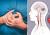 জীবন বাঁচাতে জেনে রাখুন হিট স্ট্রোক ও হার্ট অ্যাটাকের পার্থক্য