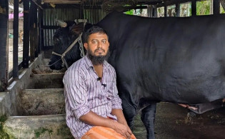খালেদা জিয়াকে ‘কালো মানিক’ উপহার দিতে চাওয়া সেই সোহাগ গ্রেপ্তার