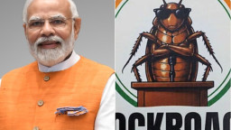 নমরুদ কে মেরেছিল মশা, মোদিকে মারবে তেলাপোকা