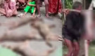 ৭ শিয়ালের মাংস বিক্রির পোস্ট ঘিরে তীব্র বিতর্ক