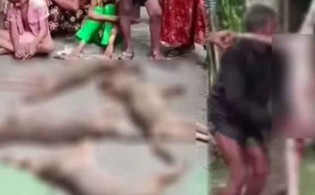 ৭ শিয়ালের মাংস বিক্রির পোস্ট ঘিরে তীব্র বিতর্ক