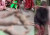৭ শিয়ালের মাংস বিক্রির পোস্ট ঘিরে তীব্র বিতর্ক