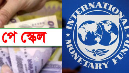 নতুন পে স্কেল নিয়ে আইএমএফের বড় প্রশ্ন