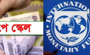 নতুন পে স্কেল নিয়ে আইএমএফের বড় প্রশ্ন