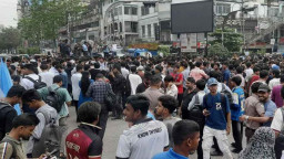 ‘তুমি কে, আমি কে—ফার্মের মুরগি’