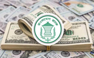বিদেশি বিনিয়োগ টানতে নতুন নীতিমালা বাংলাদেশ ব্যাংকের