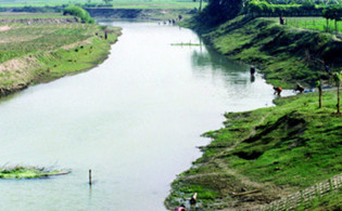 ছয় শিক্ষার্থীর মধ্যে একসঙ্গে ৪ মাদ্রাসা ছাত্রীর মৃ'ত্যু