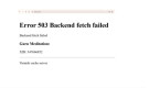 সরকারি ওয়েবসাইটে ‘Error 503’, কারণ জানালেন উপদেষ্টা
