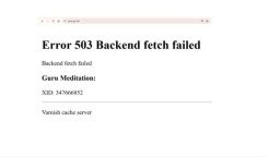 সরকারি ওয়েবসাইটে ‘Error 503’, কারণ জানালেন উপদেষ্টা